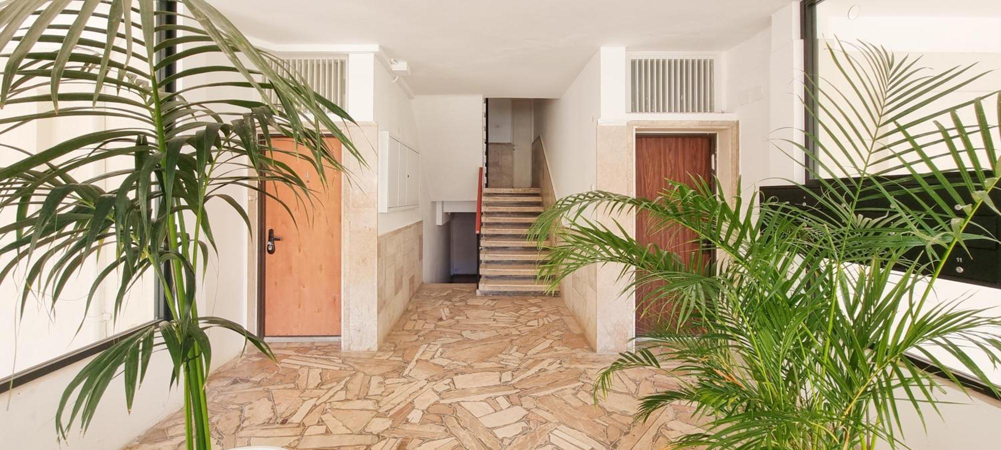 Bnb Israel Apartments - Harav Kook Lilas Tel Aviv Dış mekan fotoğraf